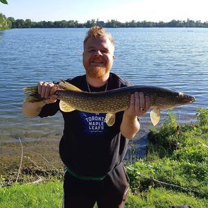 Meet your Posher, Louie